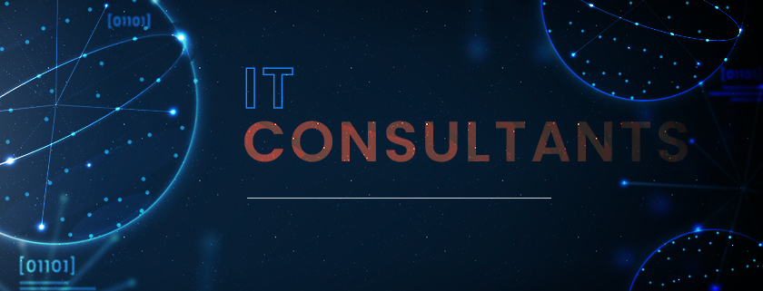 IT Consultants